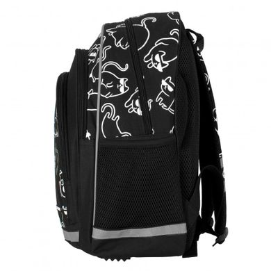 Starpak, rucsac pentru scoala cu 1 compartiment, Pisici Holo