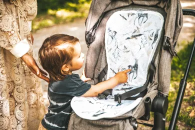 BabyMatex, Paddi'x Air, insertie pentru carucior de reducere a presiunii, 0-13 kg & 18-36 kg