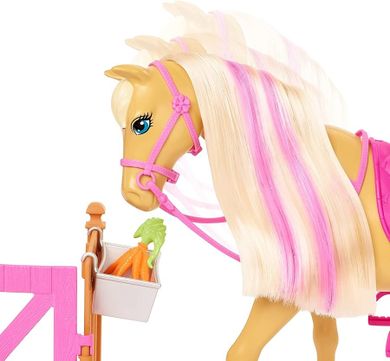 Barbie, Groom 'n Care, set cu papusa si accesorii