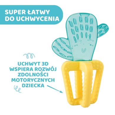 Chicco, Cactus, jucarie de dentitie cu apa
