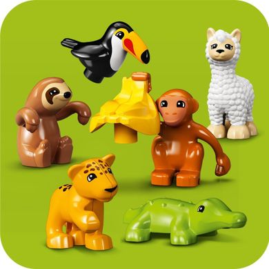 LEGO DUPLO, Animale salbatice din America de Sud, 10973