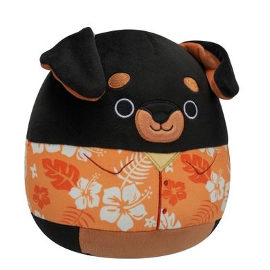 Squishmallows, Mateo, jucarie de plus, 19 cm