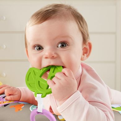 Fisher-Price, Lenes muzical, perna cu vibratii, jucarie interactiva pentru bebelusi