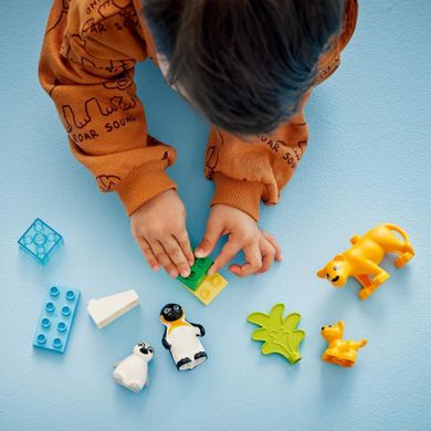 LEGO DUPLO, Familii de animale salbatice: Pinguini si lei, 10442