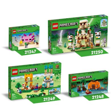 LEGO Minecraft, Fortareata Golemul de fier, 21250