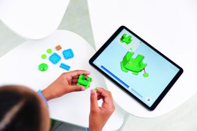 LEGO Super Mario, Pachet de puteri suplimentare Mario Broasca, 71392