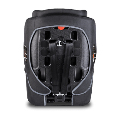 Lionelo, Nico, scaun auto, 9-36 kg, Black