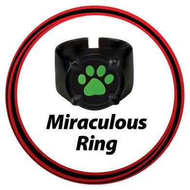Miraculous, set de joaca joc de rol Cat Noir