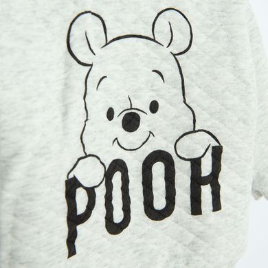 Cool Club, Hanorac pentru baieti, cu fermoar, cu doua fete, gri, imprimeu Winnie the Pooh