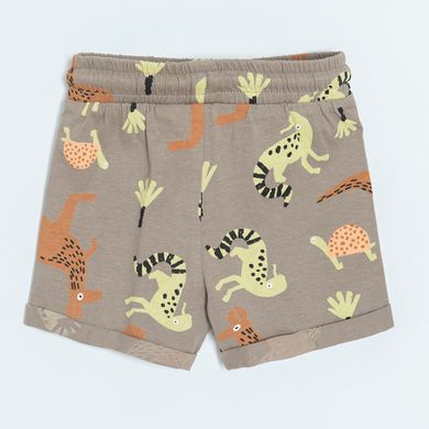 Cool Club, Set pentru baieti, Tricou, Pantaloni scurti, portocaliu-gri