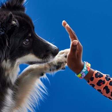 LEGO DOTS, Bratara cu animalele mele de companie, 41801