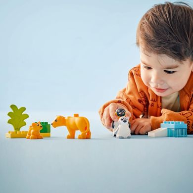LEGO DUPLO, Familii de animale salbatice: Pinguini si lei, 10442