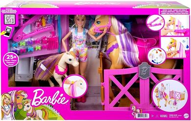 Barbie, Groom 'n Care, set cu papusa si accesorii