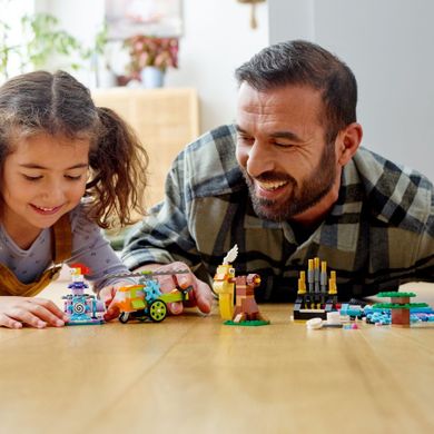 LEGO Classic, Caramizi si functii, 11019