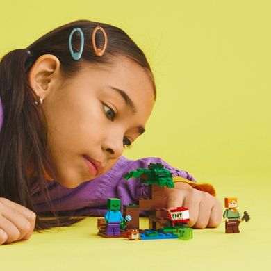 LEGO Minecraft, Aventura in mlastina, 21240