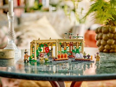LEGO Harry Potter TM, Castelul Hogwarts: Lectia de ierbologie, 76445