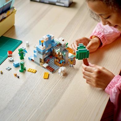 LEGO Minecraft, Piscurile inghetate, 21243
