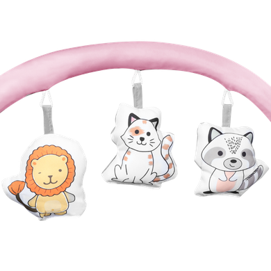Lionelo, Flower, patut de voiaj, Flamingo