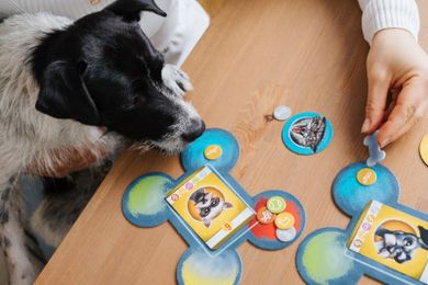 Trefl, Good Boy, joc
