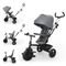 Kinderkraft, Aston 2 Plus, tricicleta 6in1, gri