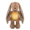 MyHummy (Szumisie), Iepuras 5 in 1 cu pernuta termica din grau, 30 cm, maro