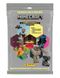Panini, Minecraft, set de start, album de colectie cu carduri de colectie