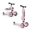 Scoot & Ride, Highwaykick 1, vehicul fara pedale si trotineta 2 in 1, Rose