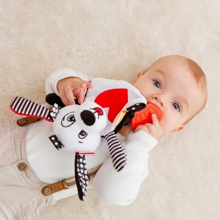 Balibazoo, Catelusul fosnitor Pedro, jucarie senzoriala pentru bebelusi