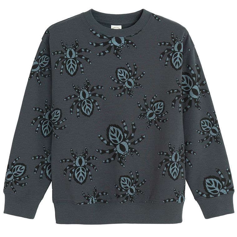 Cool Club, Bluza cu maneca lunga pentru baieti, gri inchis