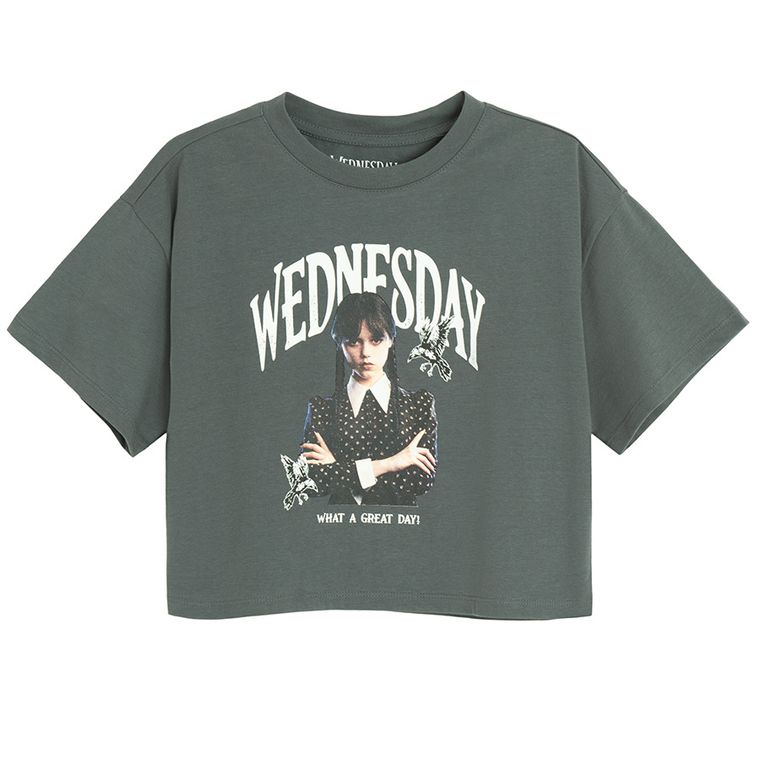 Cool Club, Tricou pentru fete, crop top, gri, Wednesday