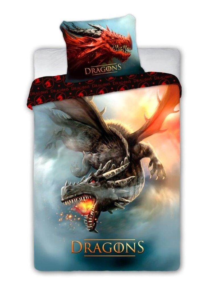 Dragons, set lenjerie de pat single, 160-200 cm