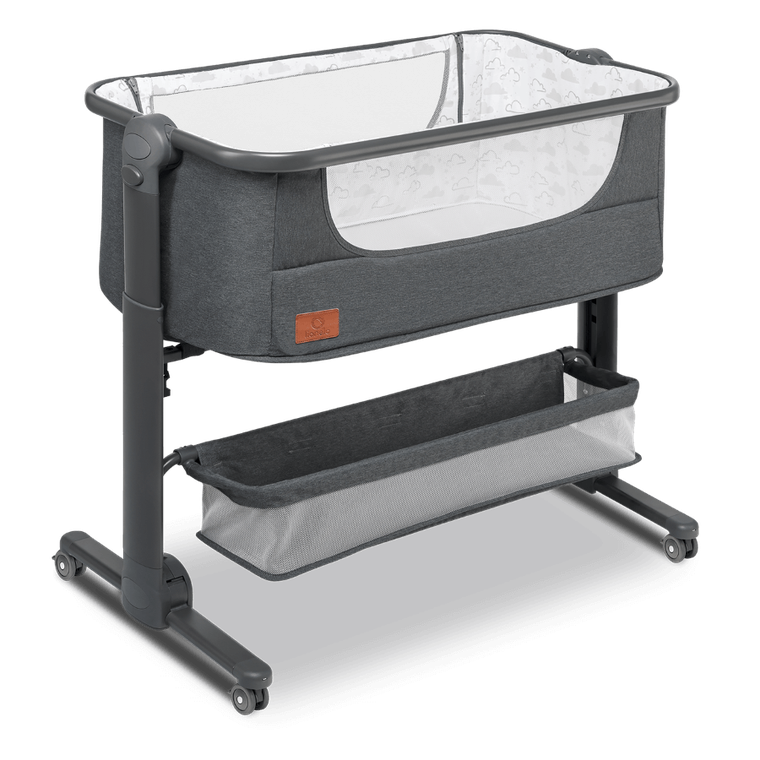 Lionelo, Timon, patut suplimentar, graphite