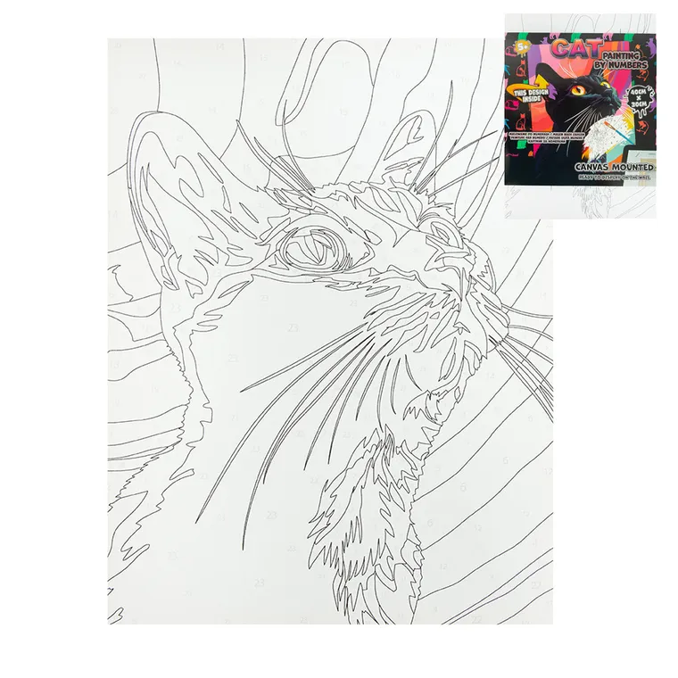 Pisica, pictura pe numere, set creativ