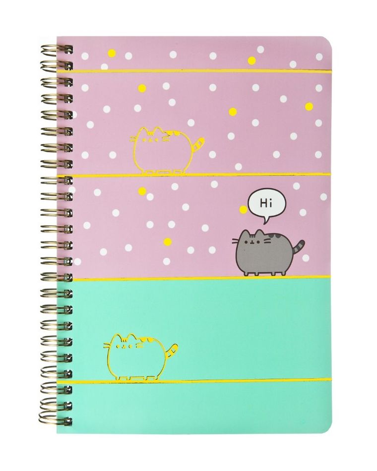 Pusheen, carnetel A5, dictando