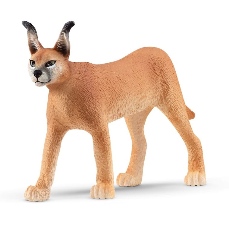 Schleich, Wild Life, Caracal pui, figurina, 14868