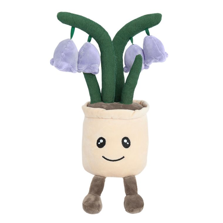 Smiki, Clopotel, planta de plus in ghiveci