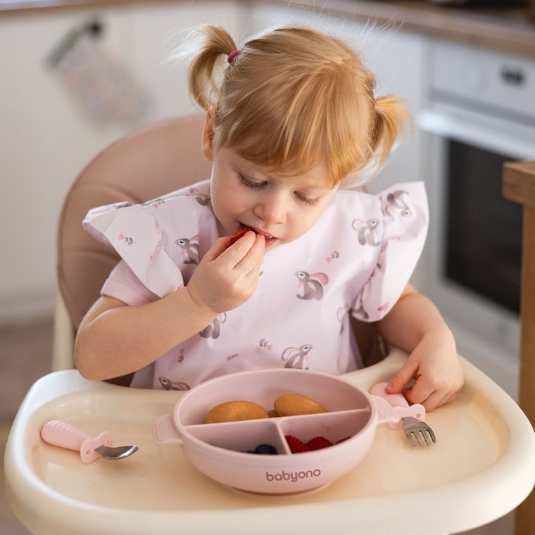 BabyOno, farfurie din silicon cu ventuza si capac, roz