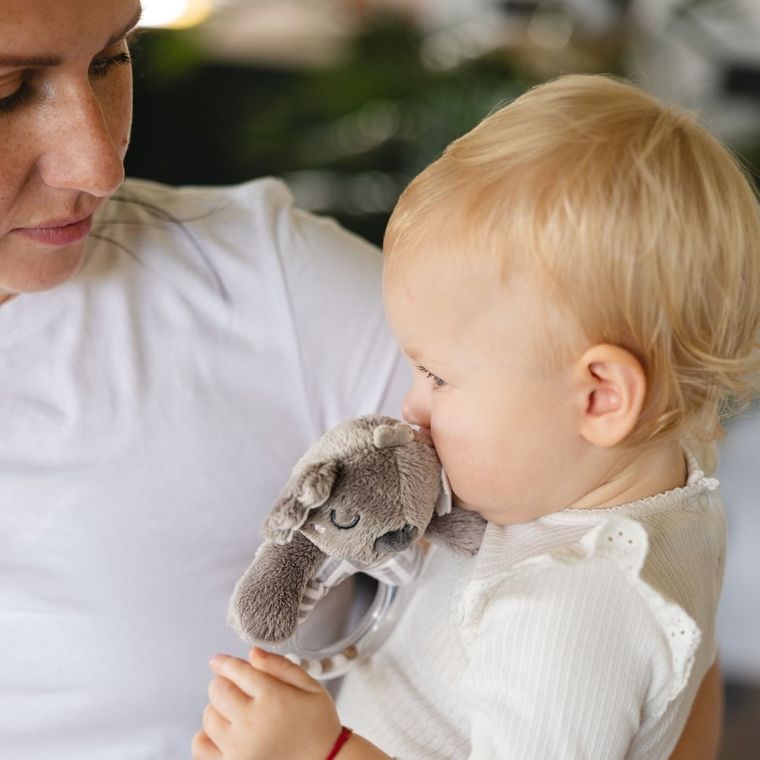 BabyOno, Koala Coco, jucarie zornaitoare