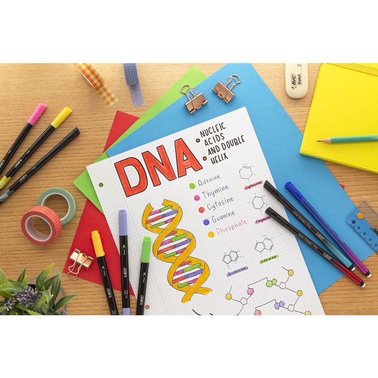 Bic, Intensity Fine, liner, 4 buc.