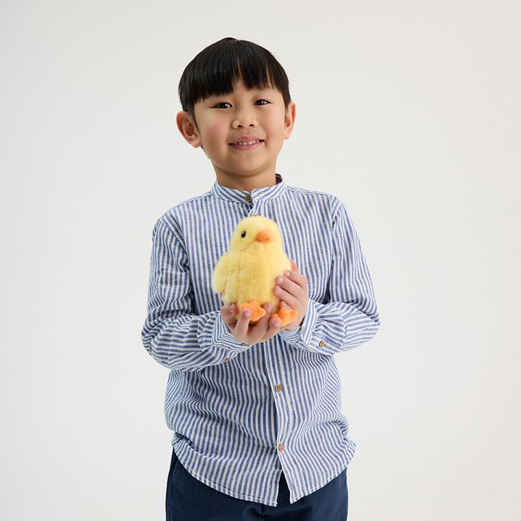 Cool Club, Camasa cu maneca lunga pentru baieti, cu in, mix