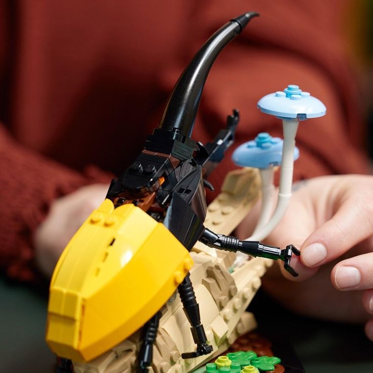 LEGO Ideas, Colectia de insecte, 21342