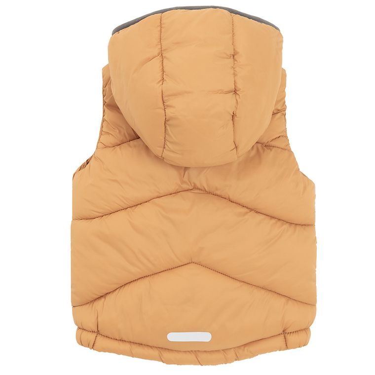 Cool Club, Vesta cu gluga pentru baieti, Bluza cu fermoar, polar, 3in1, mix