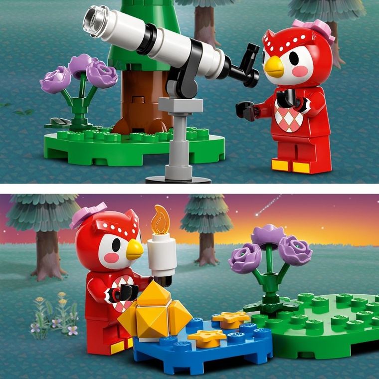 LEGO Animal Crossing, Observarea stelelor cu Celeste, 77053
