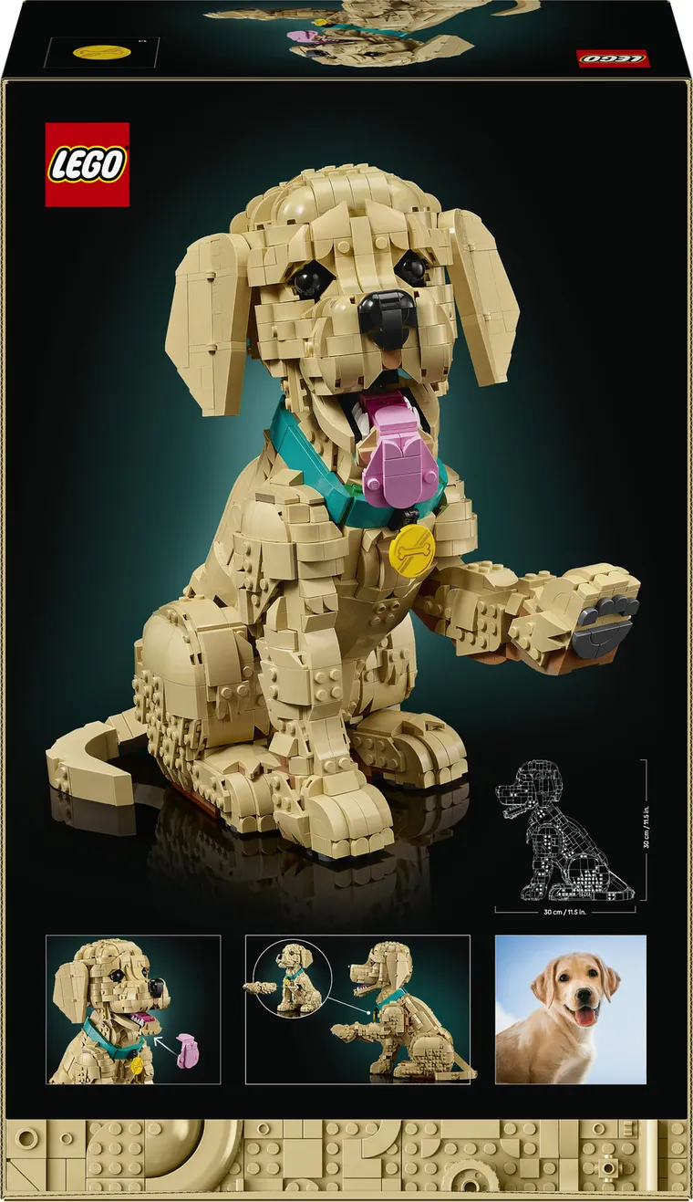 LEGO Icons, Catelus Golden Retriever, 11384