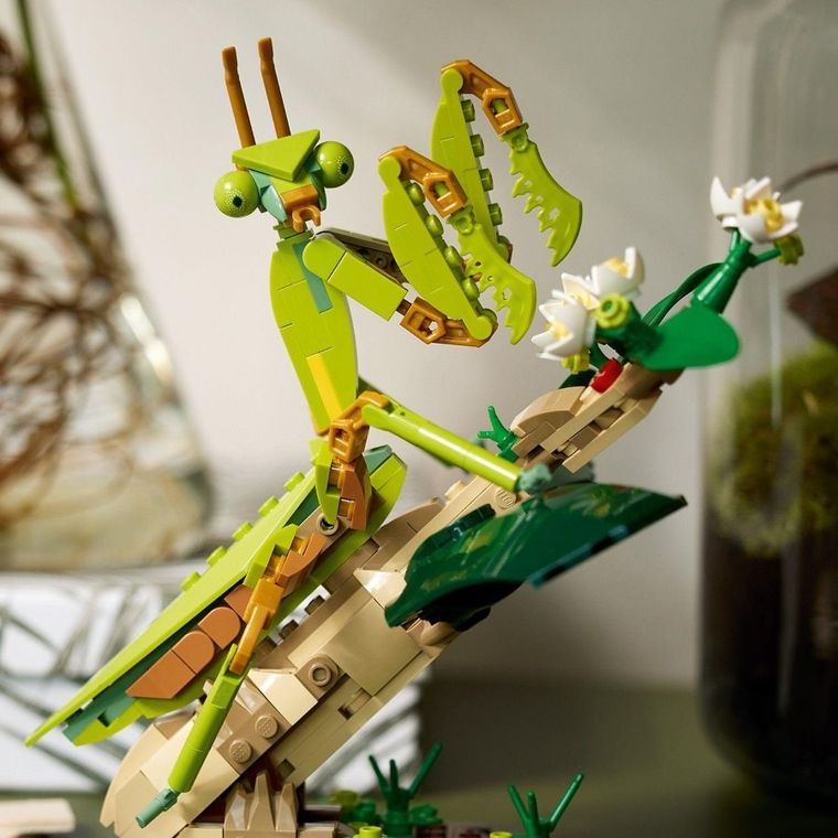 LEGO Ideas, Colectia de insecte, 21342