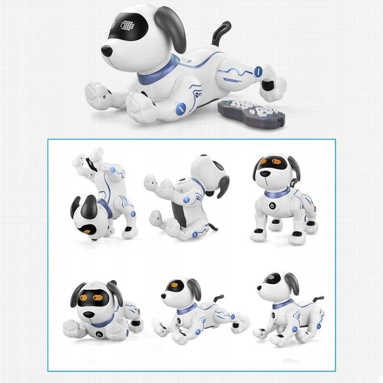 Tech-Bot, Catel, robot cu telecomanda