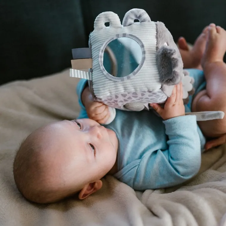 BabyOno, Koala Coco, cub senzorial