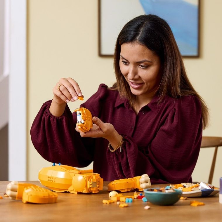 LEGO Disney, Adolescentul Simba, Regele Leu, 43247