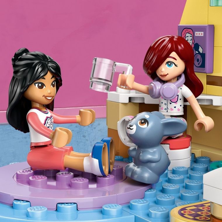 LEGO Friends, Camera lui Paisley, 42647