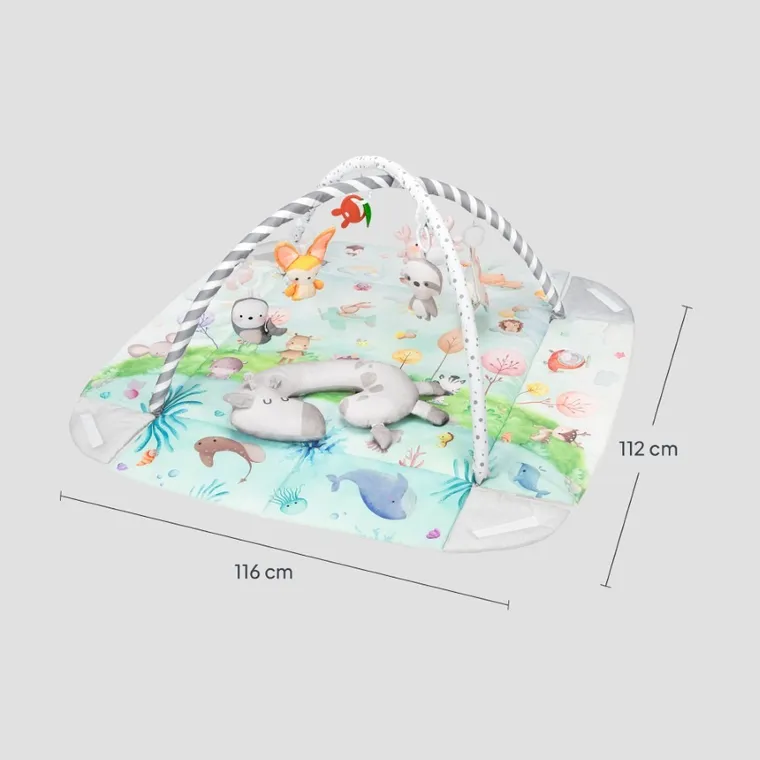 Lionelo, Anika, covoras educativ, natural